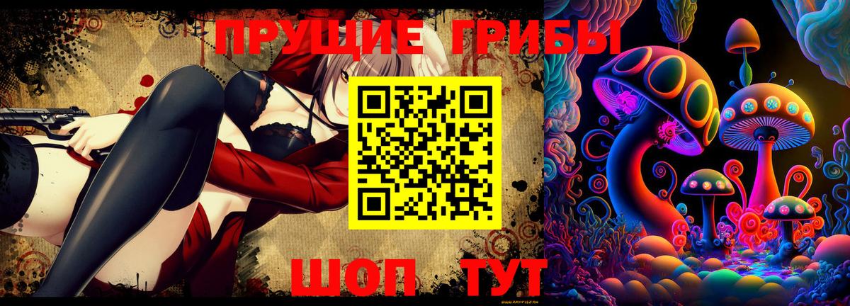 Галлюциногенные грибы Psilocybe  Вход с VPN  Минусинск 