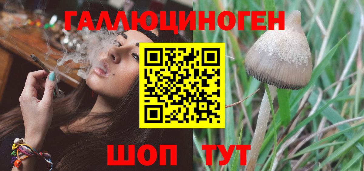 Псилоцибиновые грибы MAGIC MUSHROOMS  Минусинск 